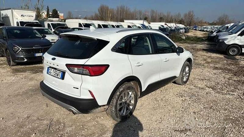 Usata Ford Kuga Business Edition 150 CV (110 kW) 2021 Frozen white pastello SUV