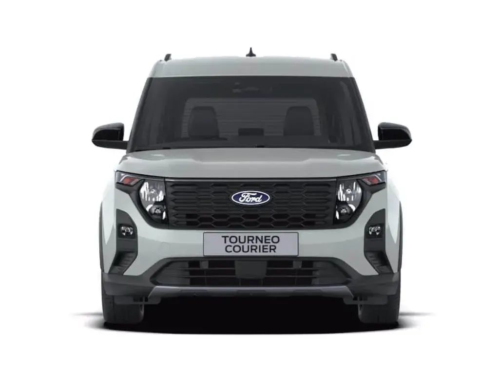 Nuova Ford Tourneo Active 125 CV (91 kW) 2026 Cactus gray  solid Monovolume