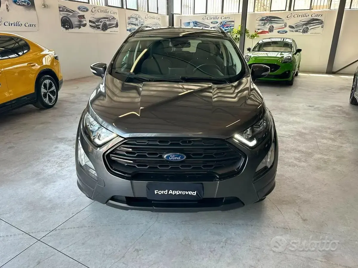 Usata Ford Ecosport ST-Line 125 CV (91 kW) 2021 Grigio SUV