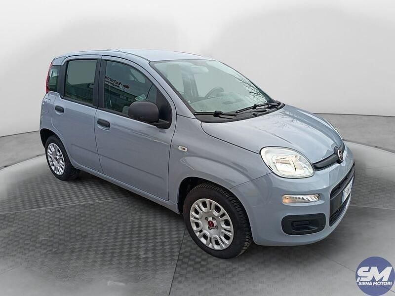 Usata Fiat Panda Easy 69 CV (50 kW) 2019 Grigio Berlina