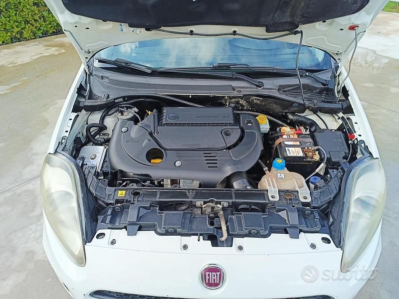 Usata Fiat Punto 75 CV (55 kW) 2015 Bianco Utilitaria