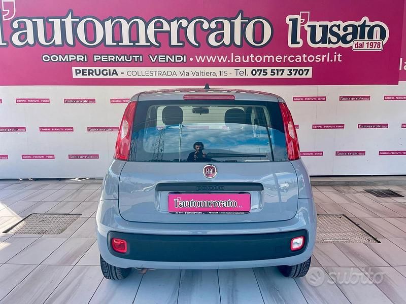 Usata Fiat Panda 69 CV (50 kW) 2022 Grigio Utilitaria