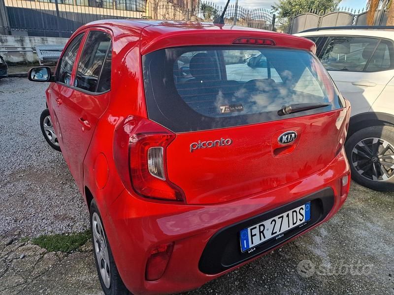 Usata Kia Picanto 65 CV (47 kW) 2018 Rosso Utilitaria