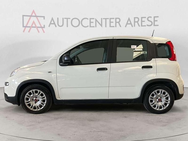 Usata Fiat Panda S 70 CV (51 kW) 2024 Bianco Utilitaria