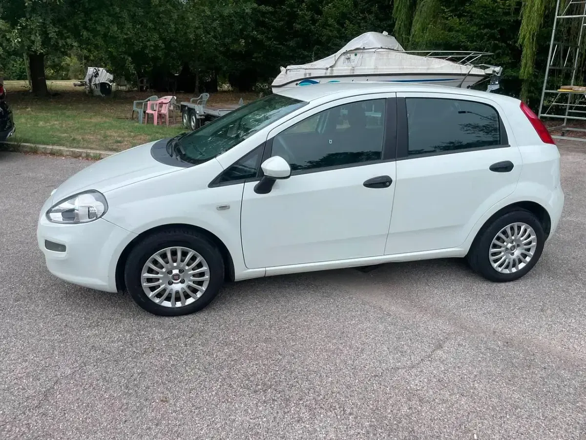 Usata Fiat Punto Lounge 75 CV (55 kW) 2014 Bianco Utilitaria