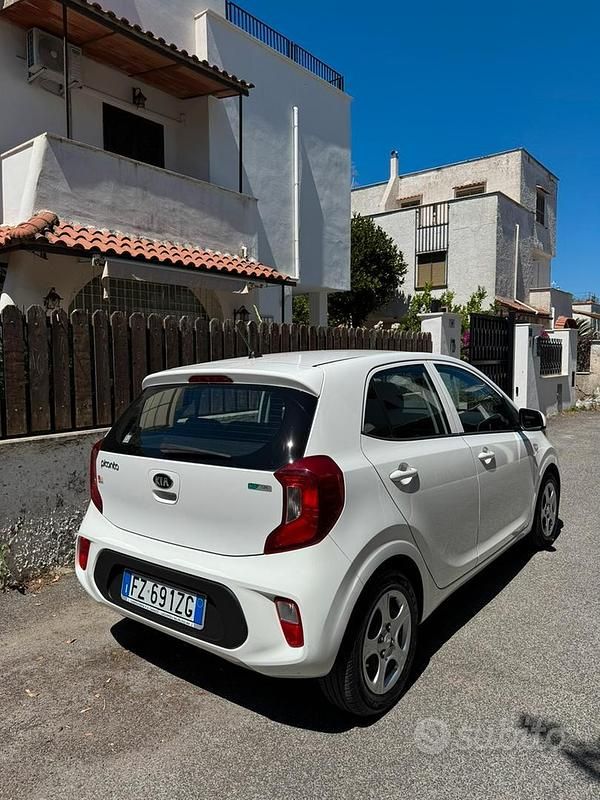 Usata Kia Picanto 2020 Bianco Utilitaria