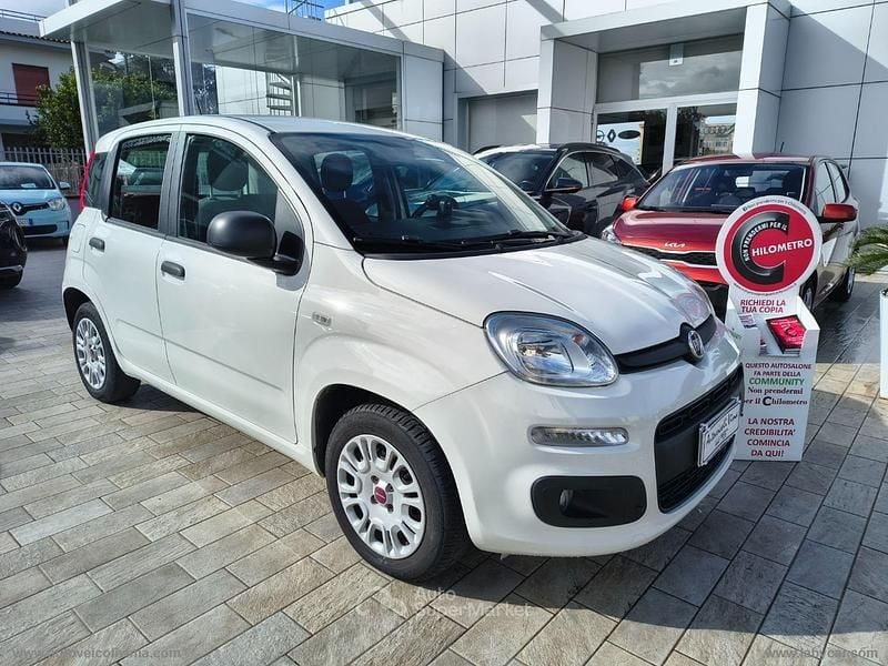 Usata Fiat Panda Easy 69 CV (50 kW) 2020 Bianco Utilitaria