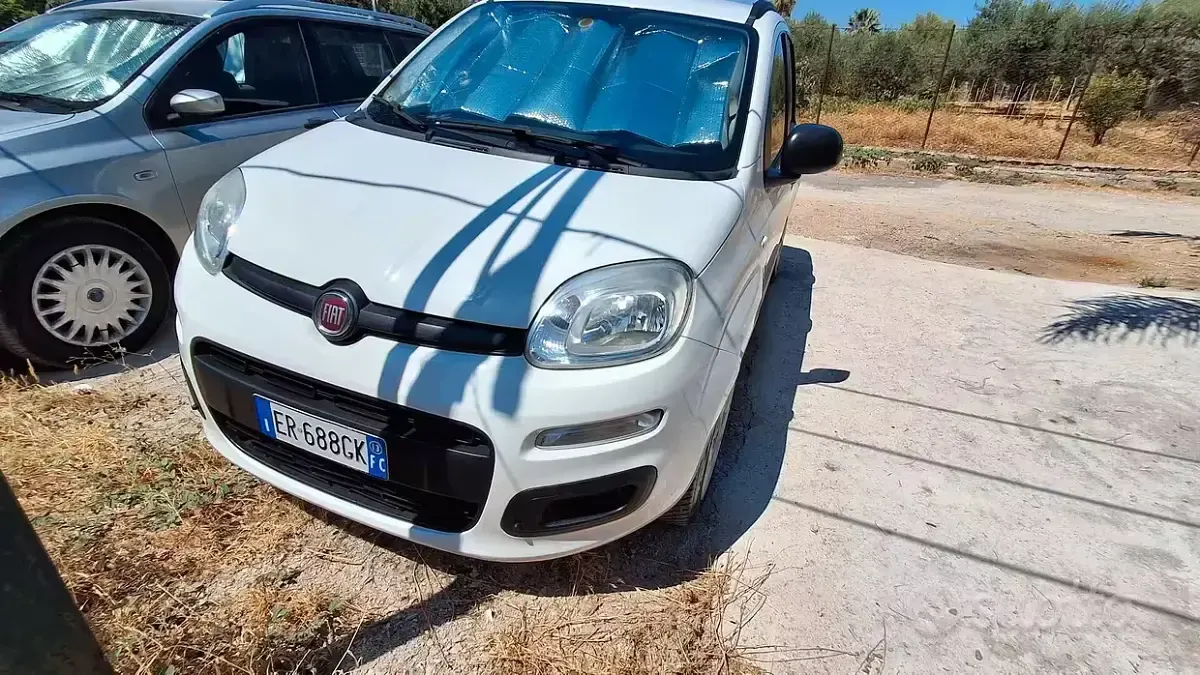Usata Fiat Panda Easy 80 CV (58 kW) 2013 Bianco Utilitaria