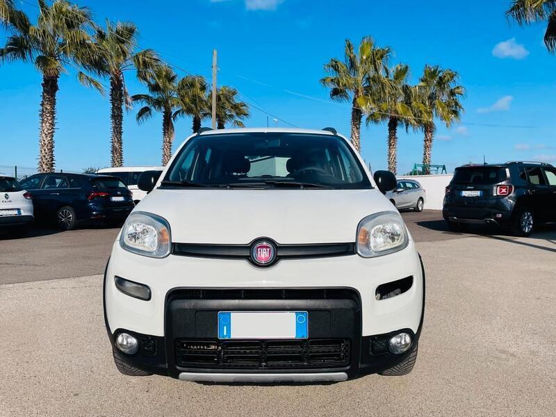 Usato 2018 Fiat Panda 4x4 1.2 Diesel 95 CV (10.499 €)