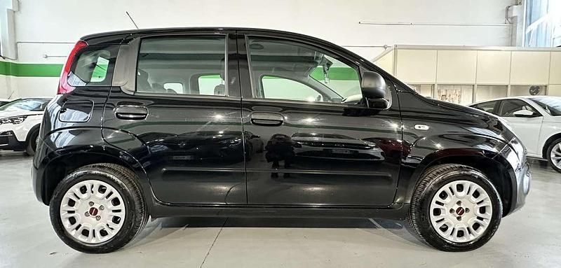 Usata Fiat Panda Easy 69 CV (50 kW) 2019 Nero Utilitaria