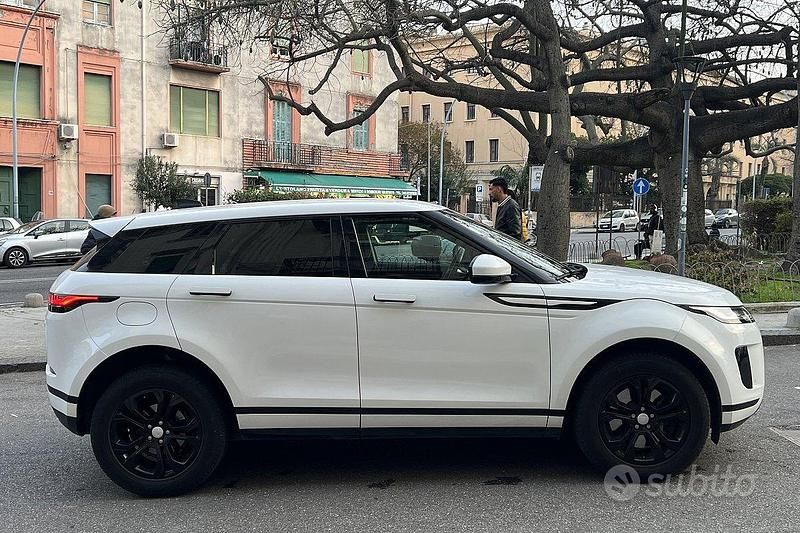 Usata Land Rover Range Rover evoque HSE 150 CV (110 kW) 2020 Bianco SUV