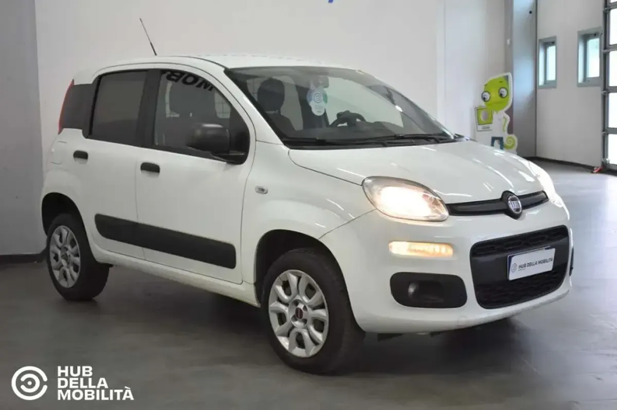 Usata Fiat Panda 4x4 Pop 84 CV (61 kW) 2019 Bianco Utilitaria