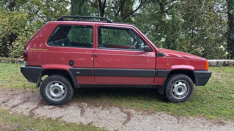 Usata Fiat Panda 4x4 Trekking 54 CV (39 kW) 2000 Rosso Utilitaria