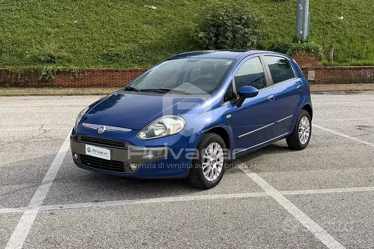 Usata Fiat Punto Evo Active 77 CV (56 kW) 2010 Utilitaria