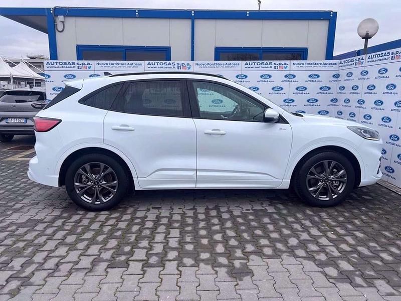 Usata Ford Kuga ST-Line X 224 CV (164 kW) 2020 Bianco SUV