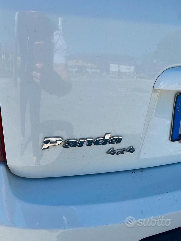 Usata Fiat Panda 4x4 Climbing 69 CV (50 kW) 2006 Bianco Utilitaria