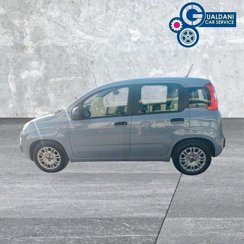 Usata Fiat Panda S 70 CV (51 kW) 2021 Grigio Utilitaria