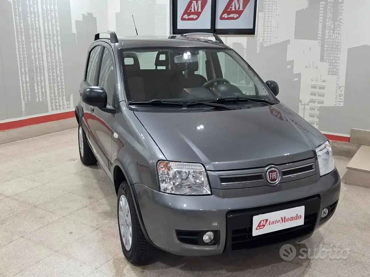 Usata Fiat Panda 4x4 Climbing 75 CV (55 kW) 2012 Grigio Utilitaria