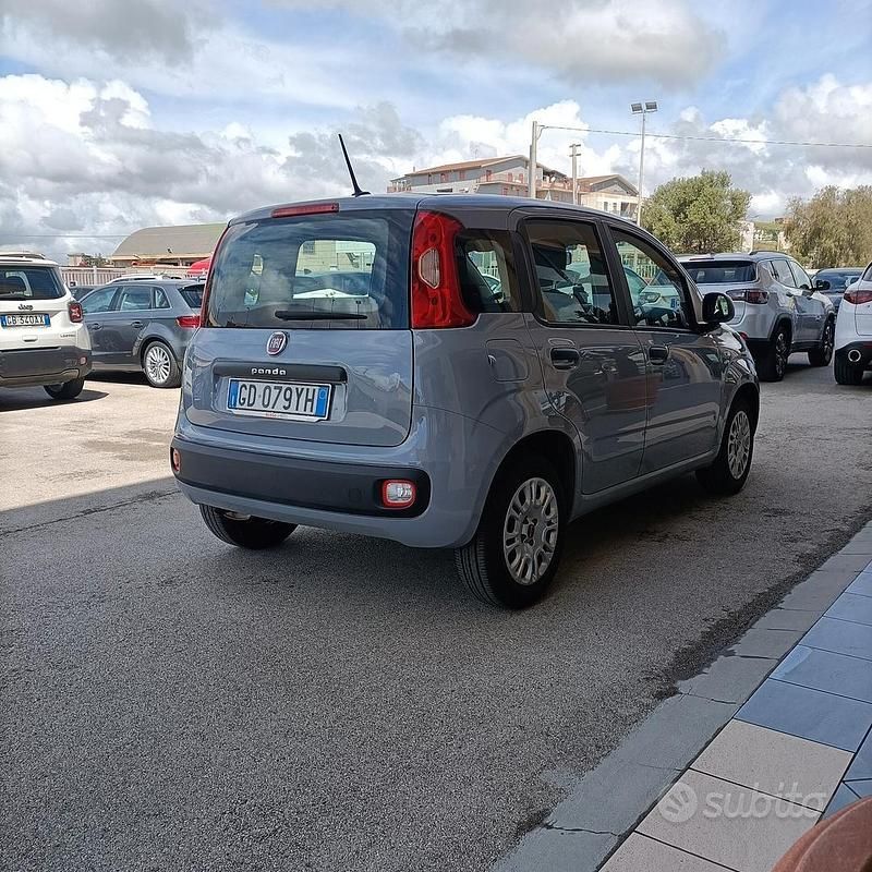 Usata Fiat Panda Easy 69 CV (50 kW) 2020 Grigio Utilitaria