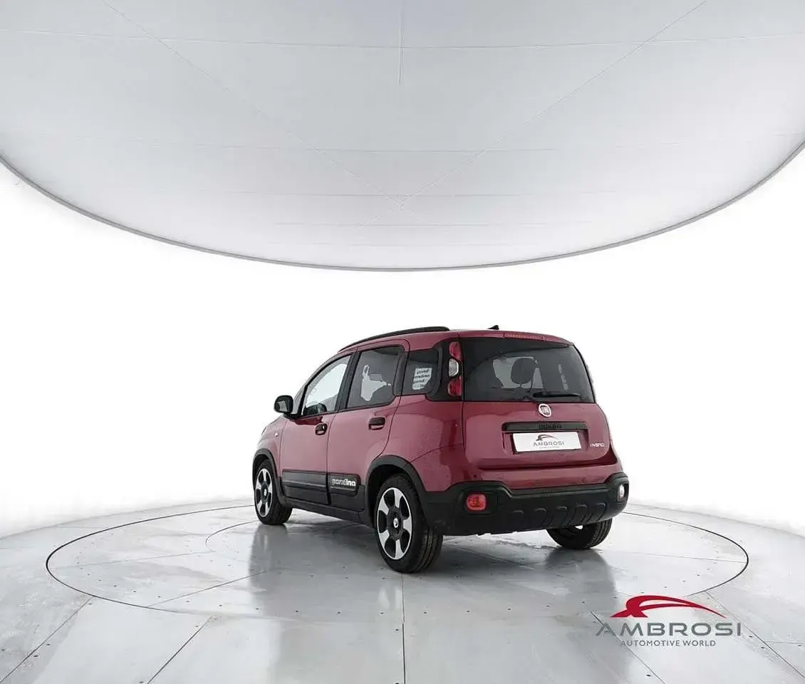 Usata Fiat Panda Cross Cross 69 CV (50 kW) 2025 Rosso Utilitaria