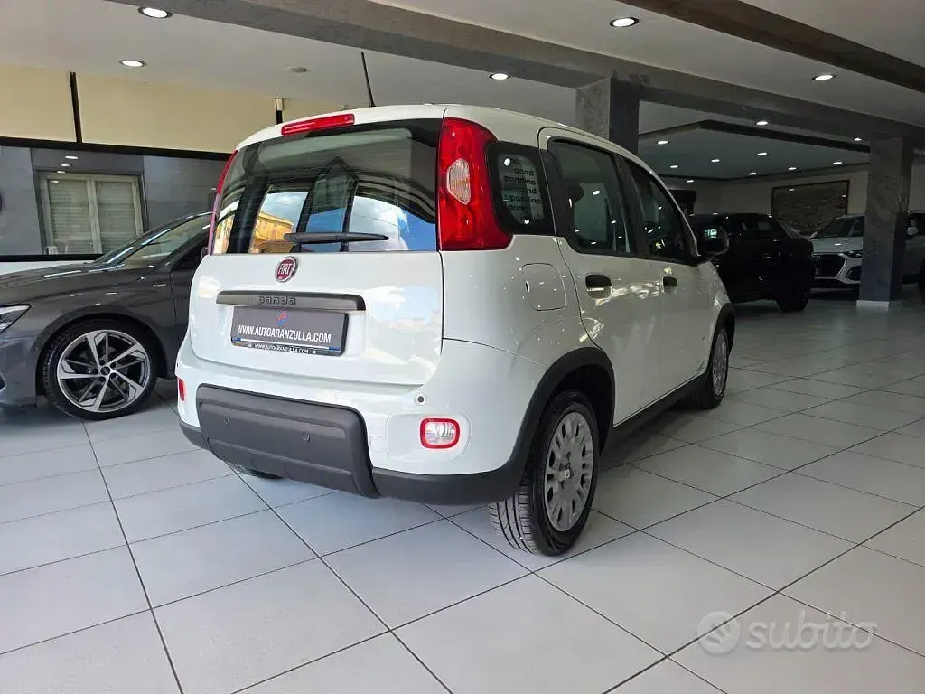 Usata Fiat Panda S 69 CV (50 kW) 2024 Bianco Utilitaria