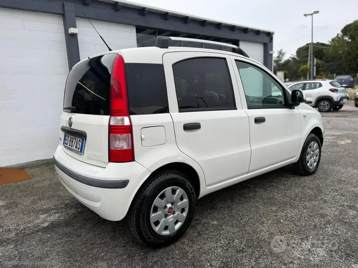 Usata Fiat Panda Dynamic 75 CV (55 kW) 2010 Bianco Utilitaria