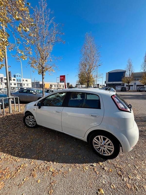 Usata Fiat Punto Lounge 75 CV (55 kW) 2013 Bianco Berlina