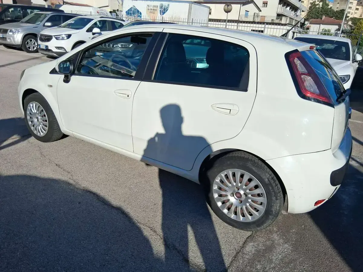 Usata Fiat Punto Evo 95 CV (69 kW) 2011 Bianco Utilitaria