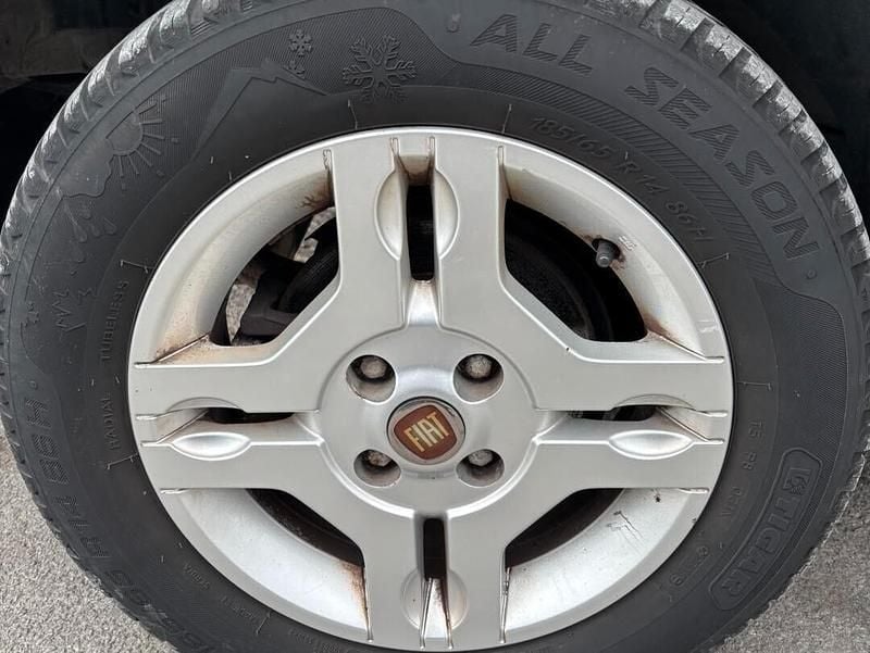 Usata Fiat Panda 4x4 Climbing 69 CV (50 kW) 2010 Grigio Utilitaria