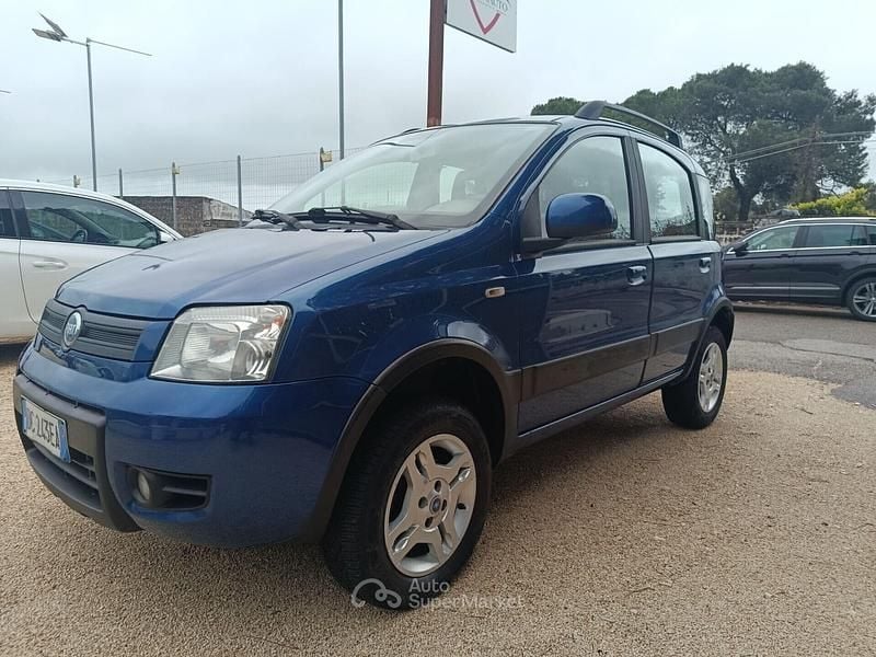 Usata Fiat Panda 4x4 Climbing 75 CV (55 kW) 2006 Utilitaria