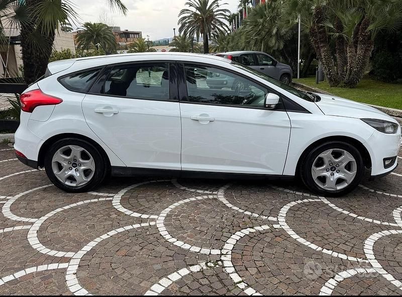 Usata Ford Focus 95 CV (69 kW) 2016 Bianco Berlina