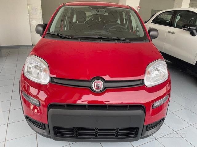Usata Fiat Panda 70 CV (51 kW) 2024 Rosso Utilitaria