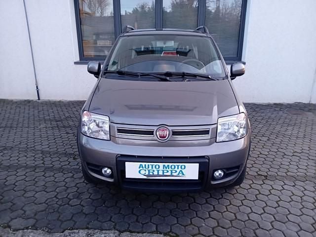 Usata Fiat Panda 4x4 74 CV (54 kW) 2011 Grigio Utilitaria