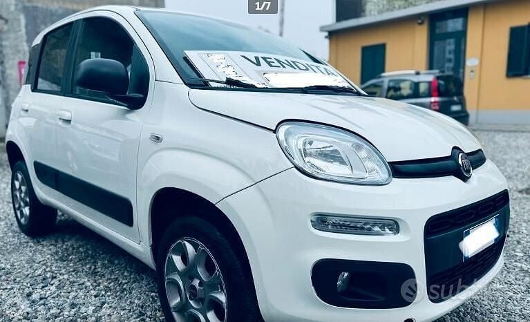 Usata Fiat Panda 4x4 S 95 CV (69 kW) 2015 Bianco Utilitaria