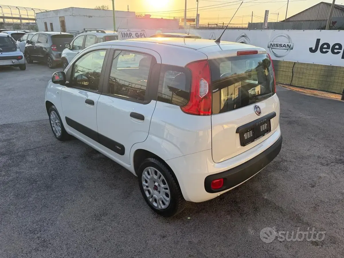 Usata Fiat Panda Easy 69 CV (50 kW) 2019 Bianco Utilitaria