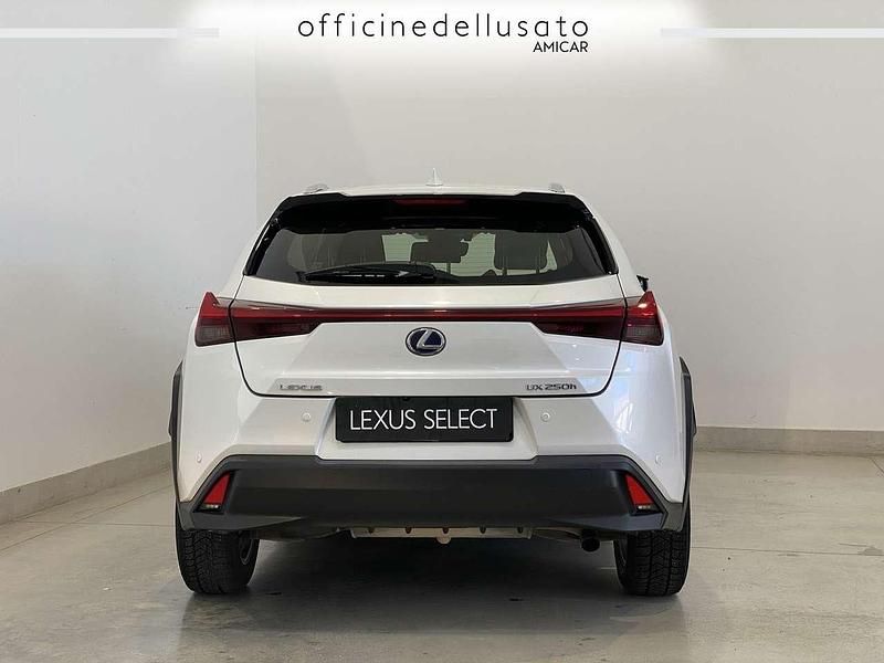 Usata Lexus UX 250h Business Edition 184 CV (135 kW) 2021 Other SUV