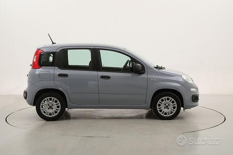 Usata Fiat Panda Easy 69 CV (50 kW) 2020 Grigio Utilitaria