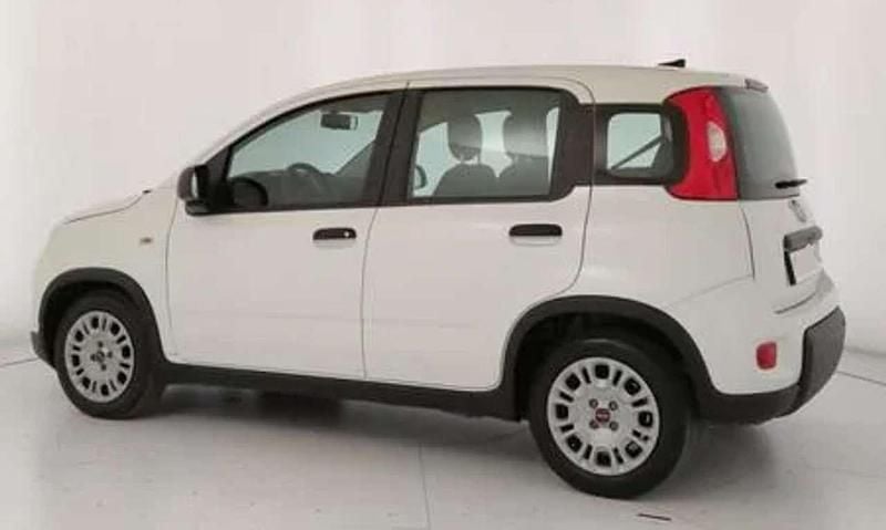 Usata Fiat Panda 69 CV (50 kW) 2021 Bianco gelato pastello extra Utilitaria