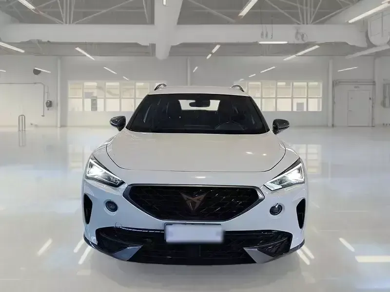 Usata Cupra Formentor 149 CV (109 kW) 2022 SUV
