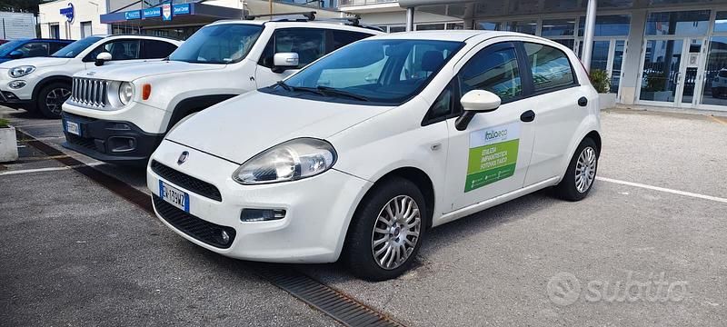 Usata Fiat Punto 75 CV (55 kW) 2014 Bianco Utilitaria