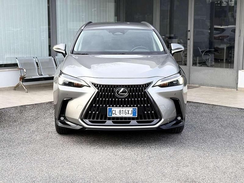 Usata Lexus NX300h 190 CV (139 kW) 2022 Grigio SUV
