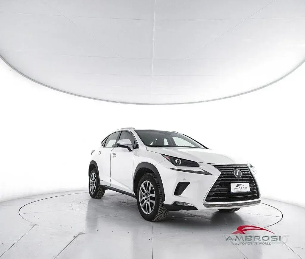 Usata Lexus NX300h Executive Line 155 CV (114 kW) 2018 Bianco SUV