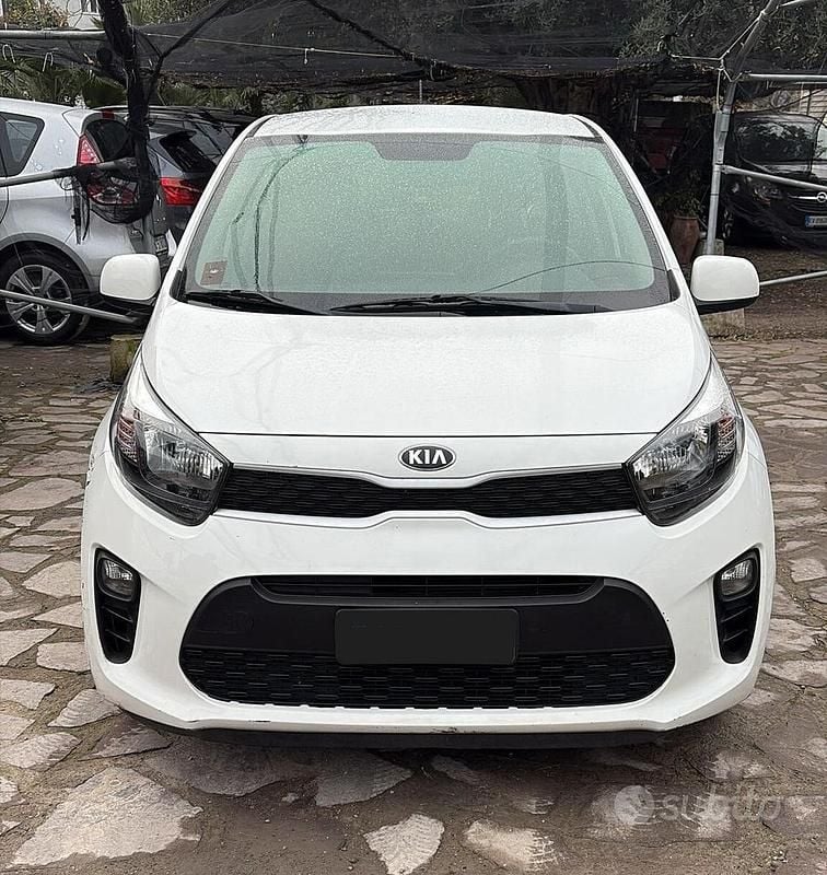 Usata Kia Picanto X-Line 2019 Bianco Utilitaria