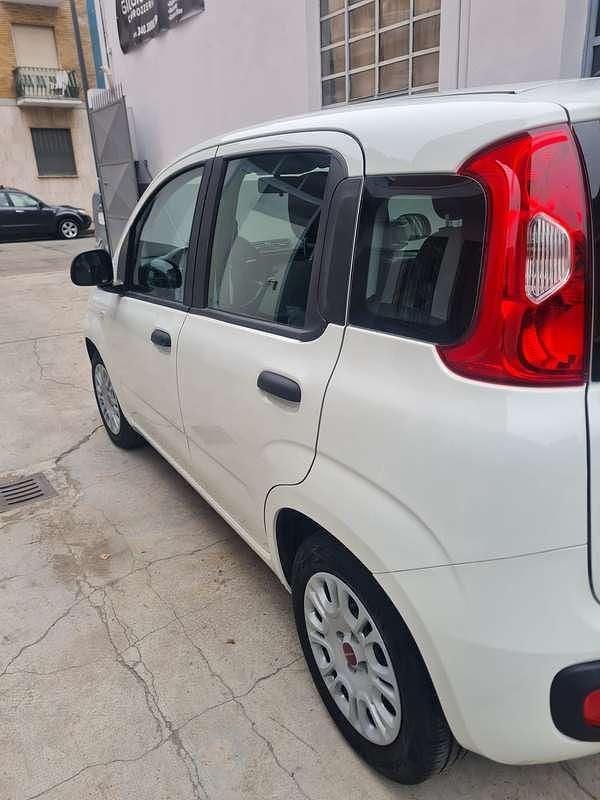 Usata Fiat Panda S 69 CV (50 kW) 2021 Bianco Utilitaria