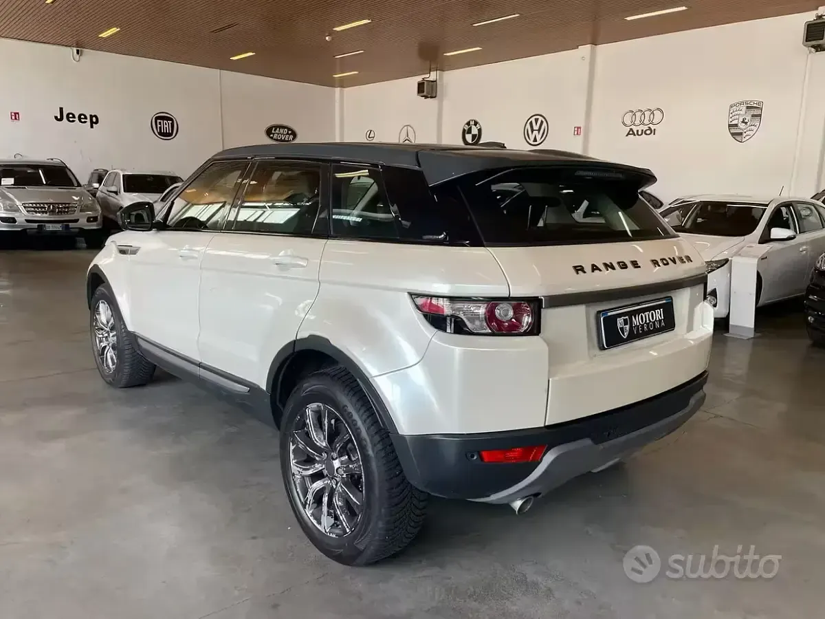 Usata Land Rover Range Rover evoque Pure 150 CV (110 kW) 2015 Bianco SUV