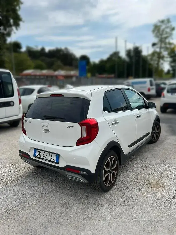 Usata Kia Picanto X-Line 67 CV (49 kW) 2023 Bianco Utilitaria