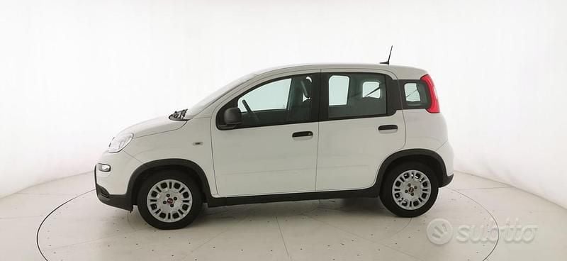 Usata Fiat Panda S 70 CV (51 kW) 2024 Bianco pastello Berlina