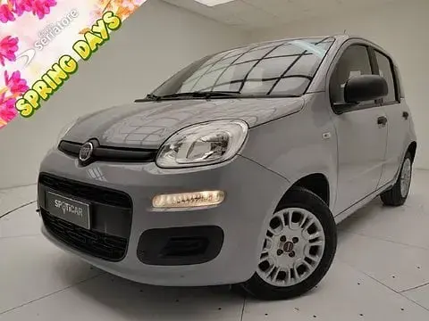 Usata Fiat Panda 69 CV (50 kW) 2021 Utilitaria
