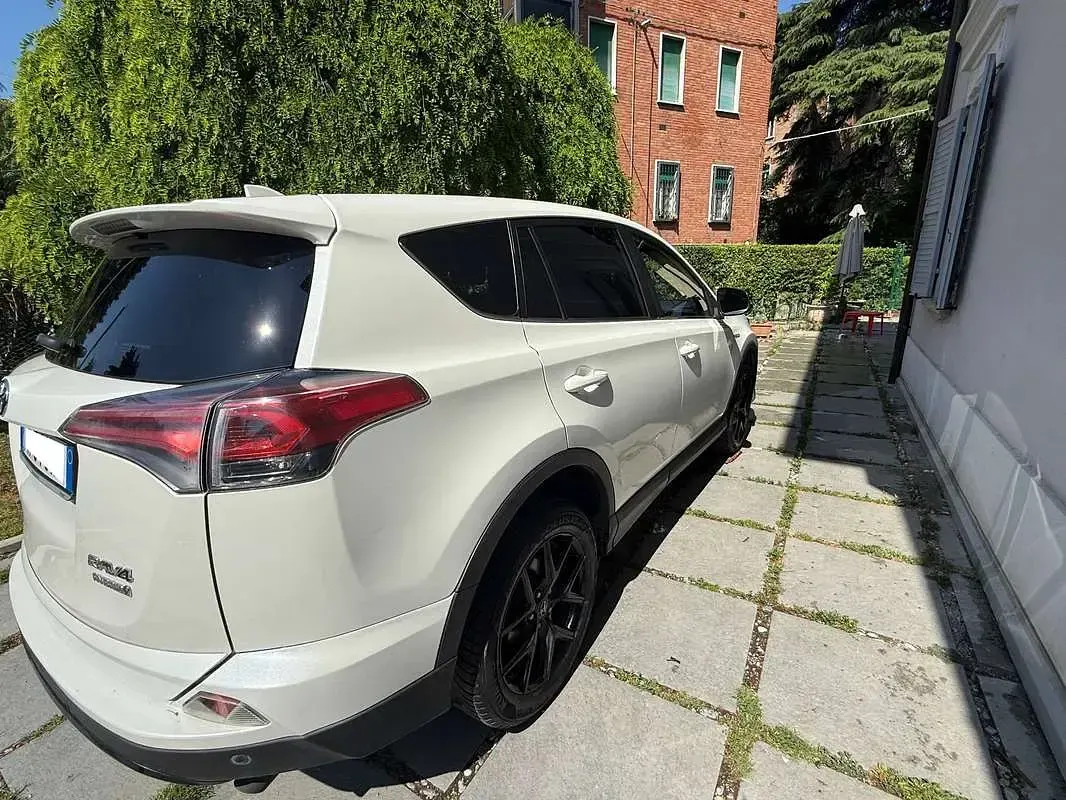 Usata Toyota RAV4 Hybrid 155 CV (114 kW) 2018 Bianco SUV