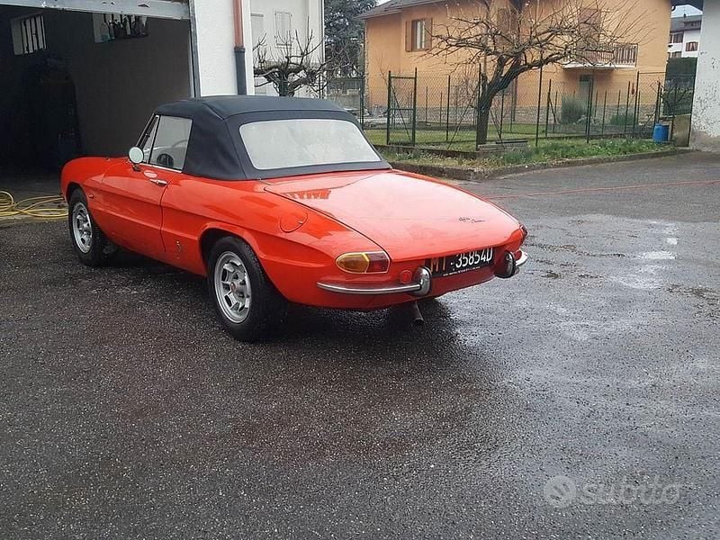 Usata Alfa Romeo Spider 1960 Cabrio